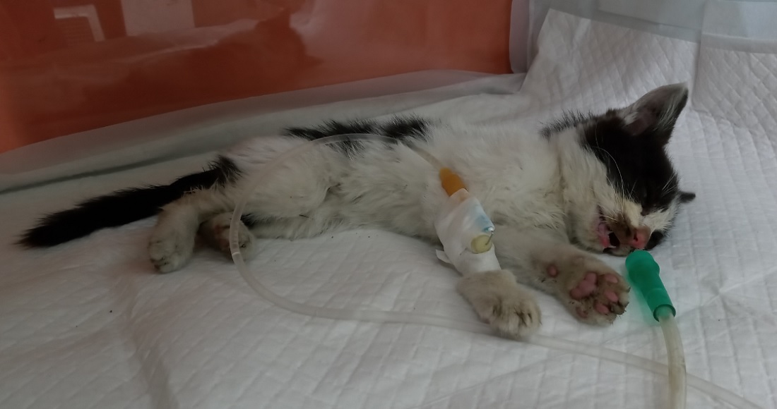 종료(방사) 한국 …